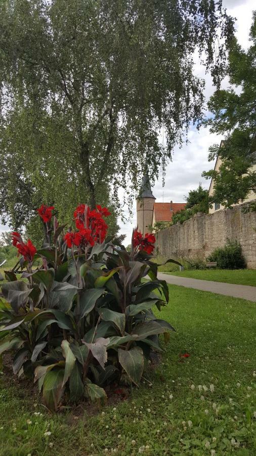 Direkt Am Main Vila Karlstadt Exterior foto